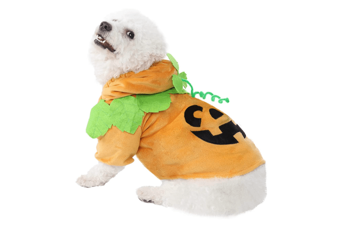 pumpkin costume