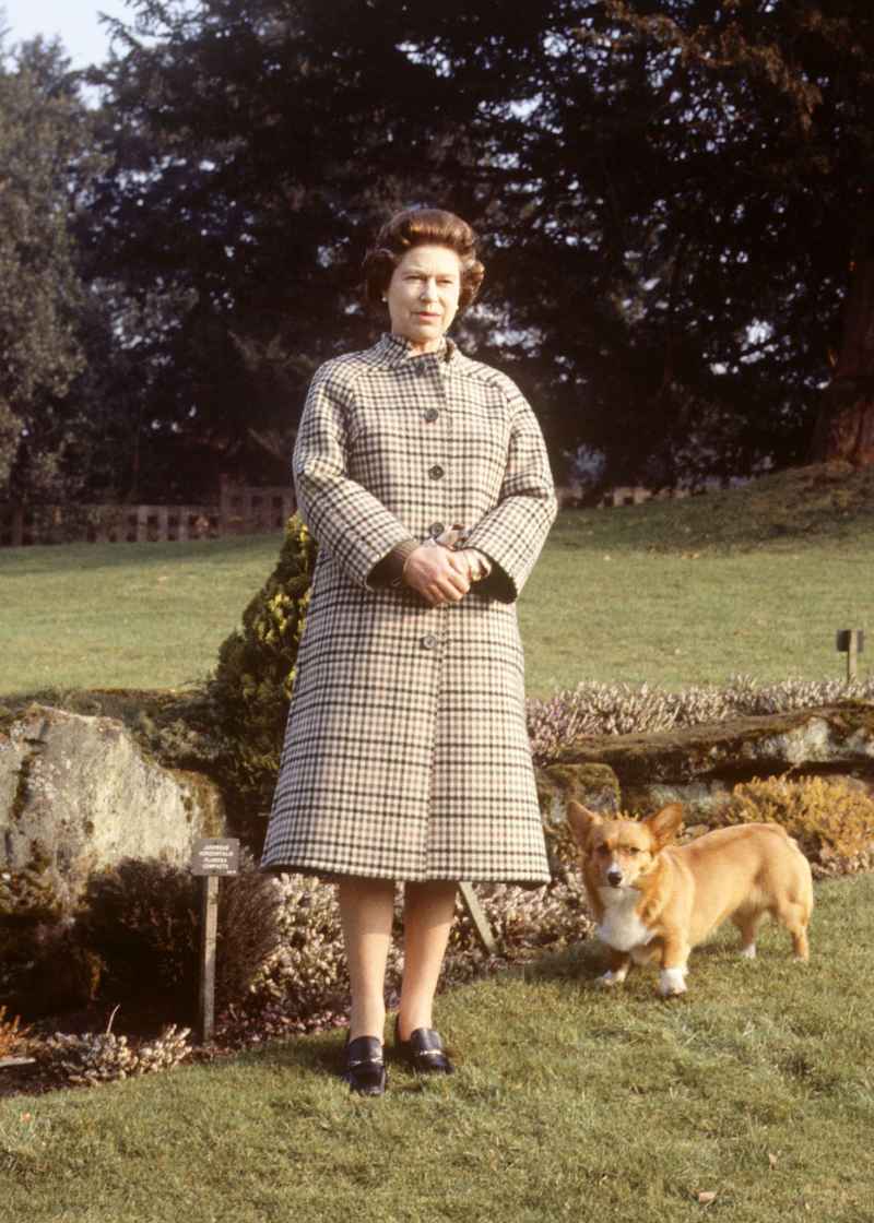 Inside the Fabulous Life of Queen Elizabeth II’s Corgis