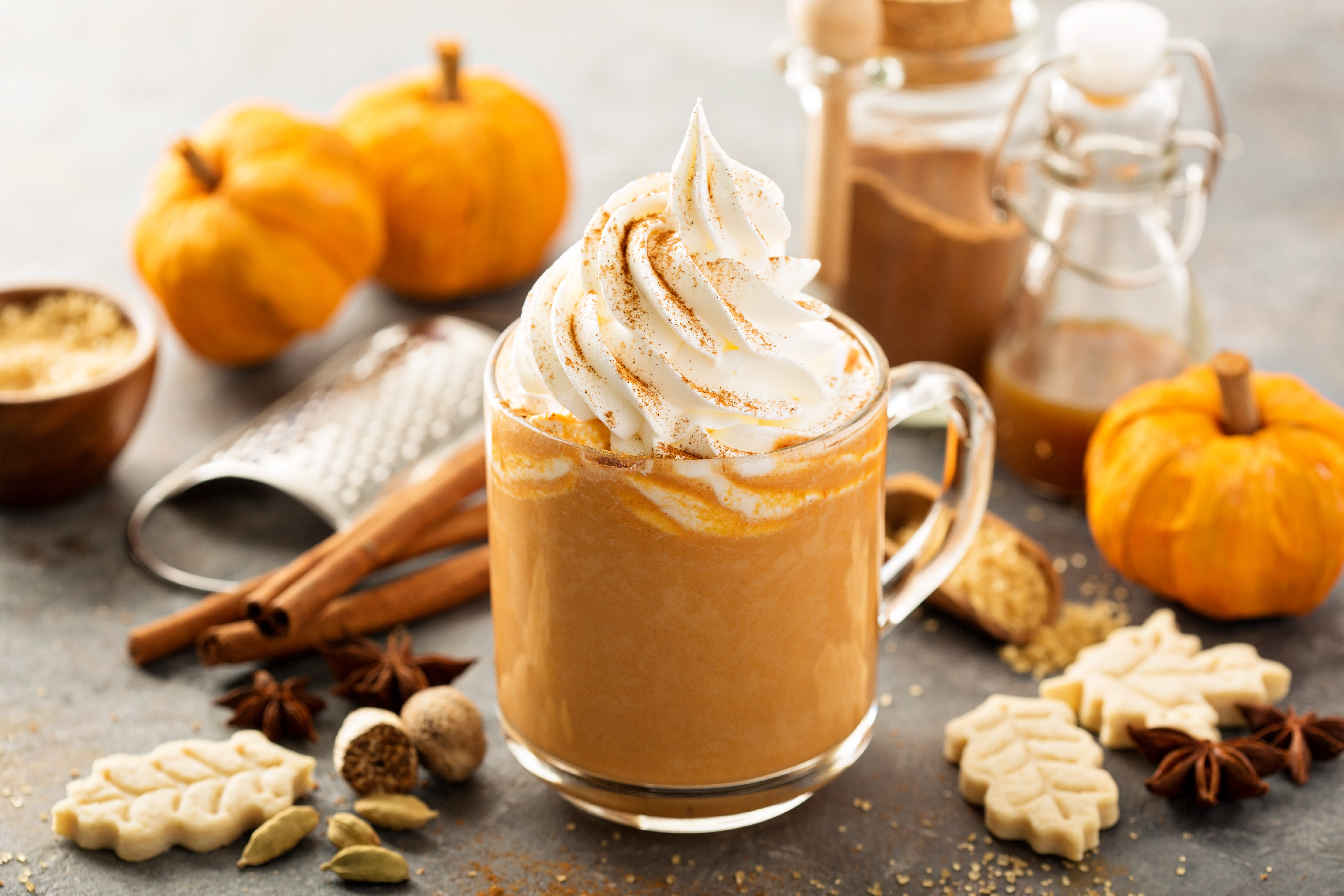 pumpkin spice bone broth protein