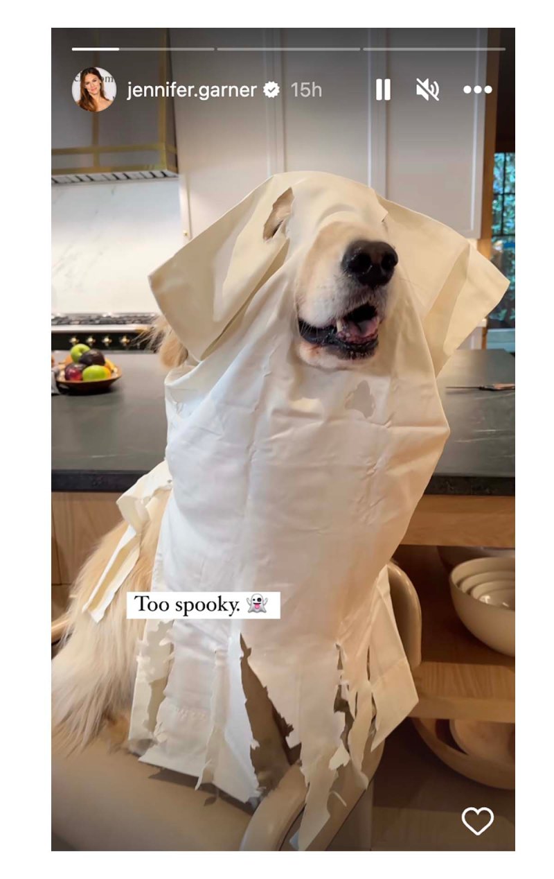 Jennifer Garner’s Pup Gets Into the Halloween Spirit: Photo