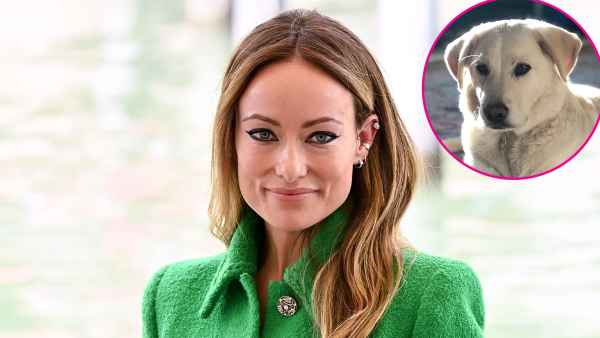Los Angeles Animal Shelter Reveals Why Olivia Wilde Rehomed Dog After Nanny Scandal: 'Out of Compassion'