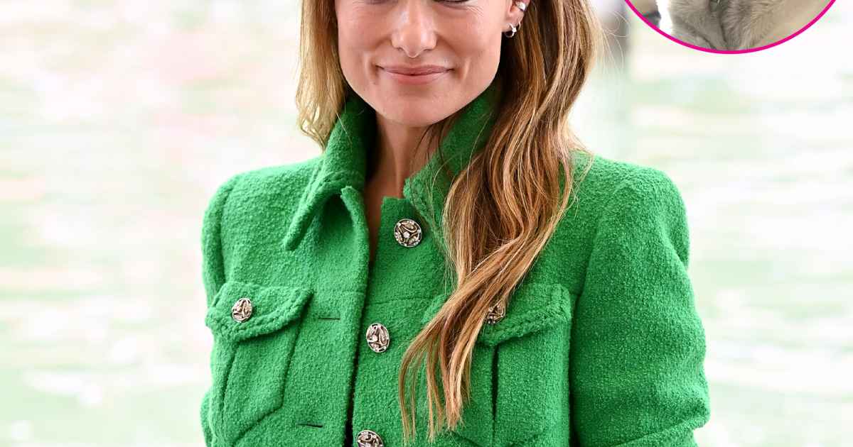 Why Olivia Wilde Rehomed Canine After Nanny Scandal: Particulars Why Olivia Wilde Rehomed Canine After Nanny Scandal: Particulars