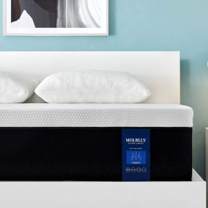 Molblly Queen Size 12 Inch Premium Cooling-Gel Memory Foam