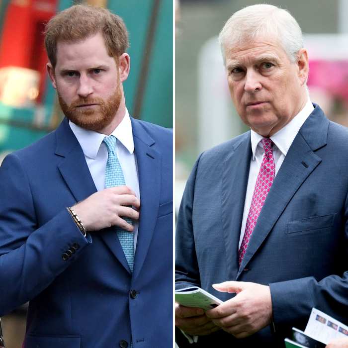 Prince Harry, Prince Andrew's Royal Roles Questioned by U.K. Parliament