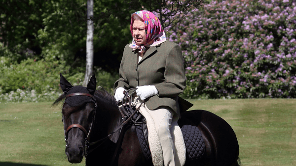 Queen Elizabeth II Horse
