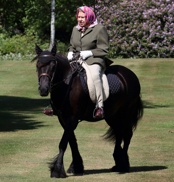 Buckingham Palace Reveals Plans for Queen Elizabeth's Horse Post-Death