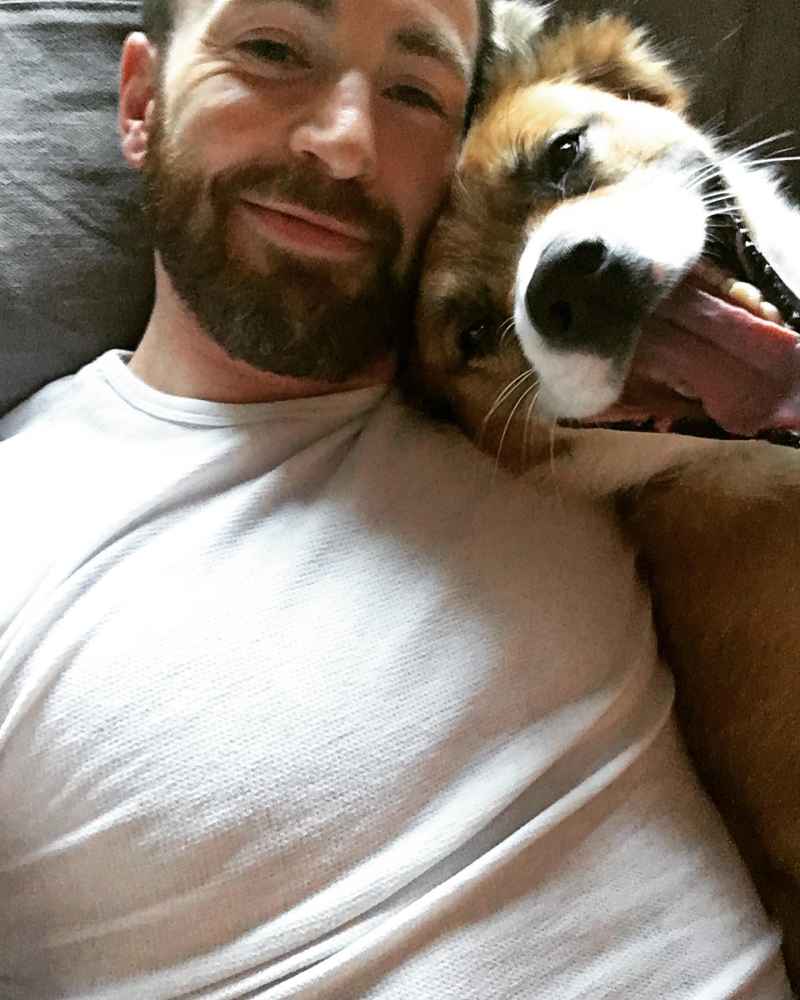 Chris Evans: I ‘Won the Dog Lottery’ When I Adopted My Pup Dodger