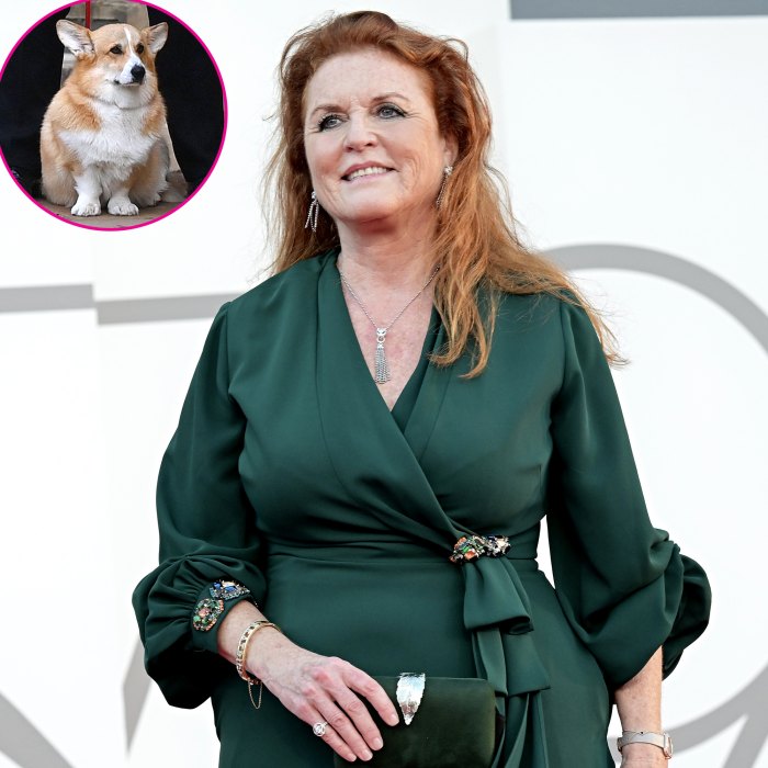 Sarah Ferguson Shares Update on Queen Elizabeth II’s 2 Corgis, Says Taking Care of Them Is a ‘Big Honor’