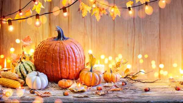 Halloween Thanksgiving decor