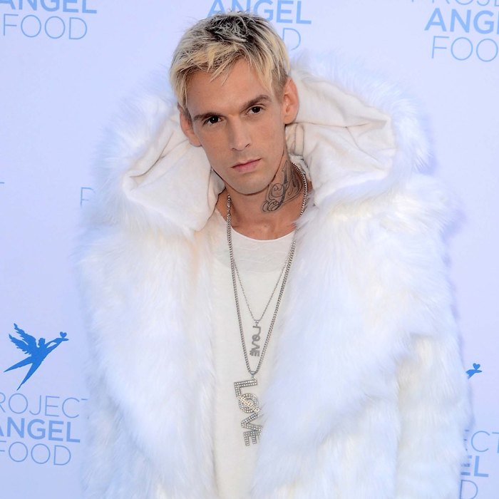 Aaron Carter Was Working on a Sitcom Before His Death: Details