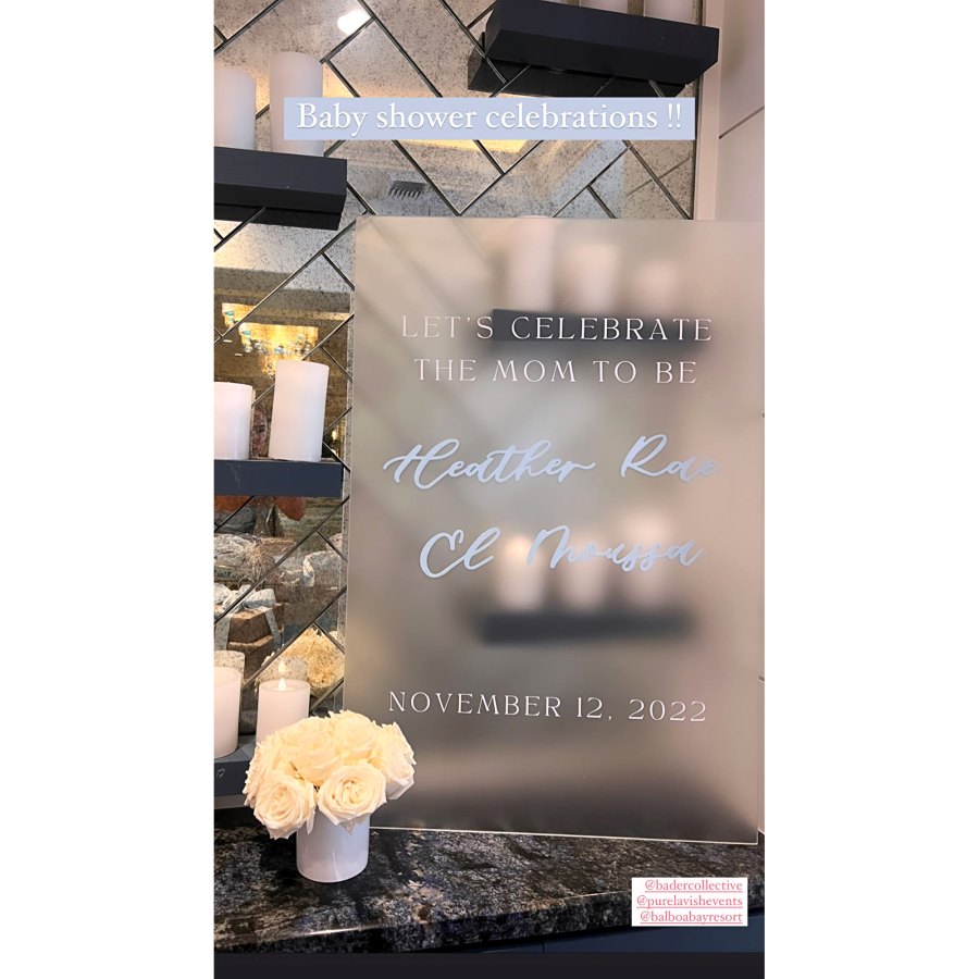 Inside Pregnant Heather Rae Young's Winter Wonderland Baby Shower: See Party Photos