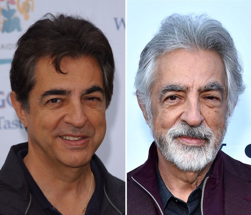 Joe Mantegna ‘Criminal Minds’ Cast: Then and Now Gallery