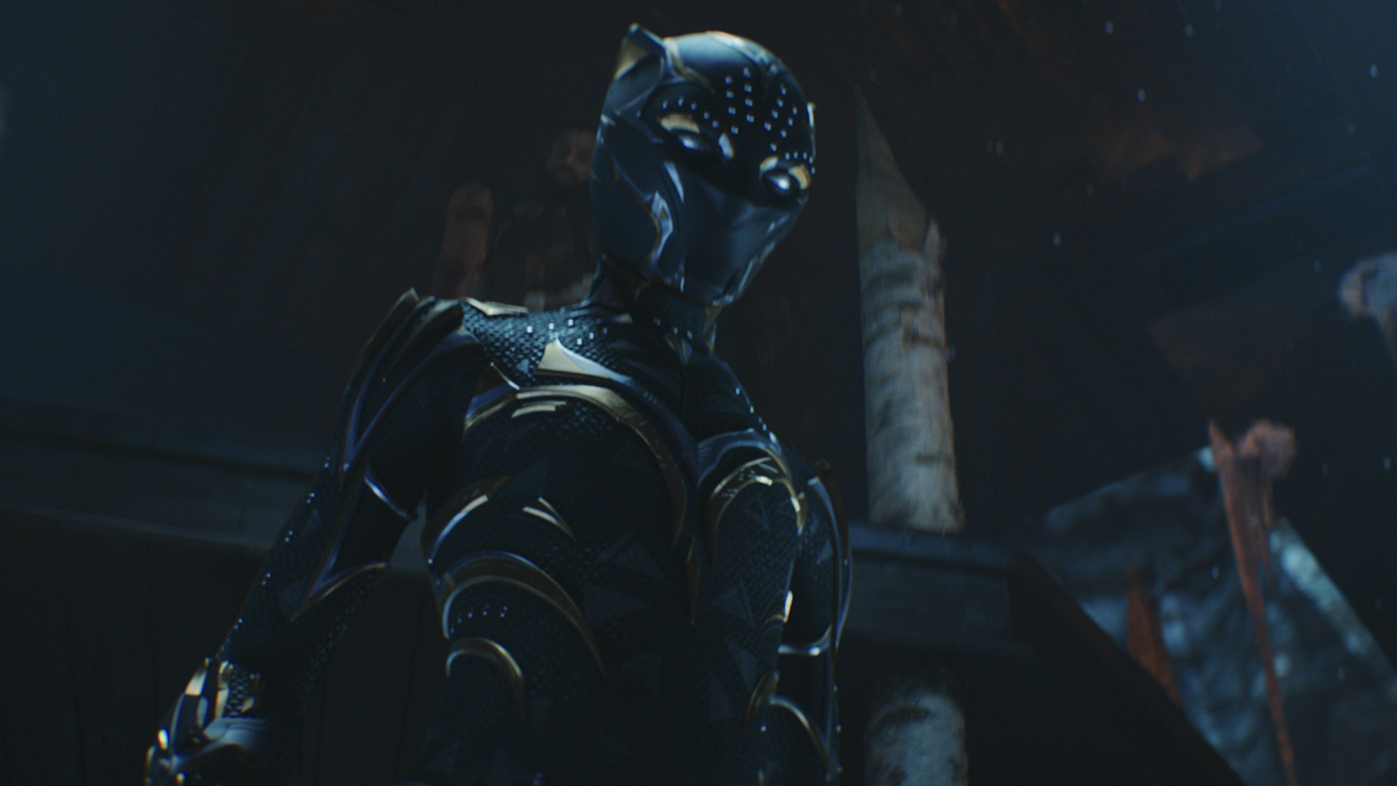 Who Is the New Black Panther After Chadwick Boseman's Death?