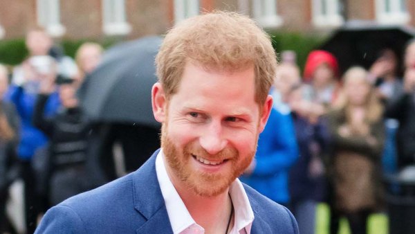 Prince Harry's Pals Have Questioned His Memoir Docuseries