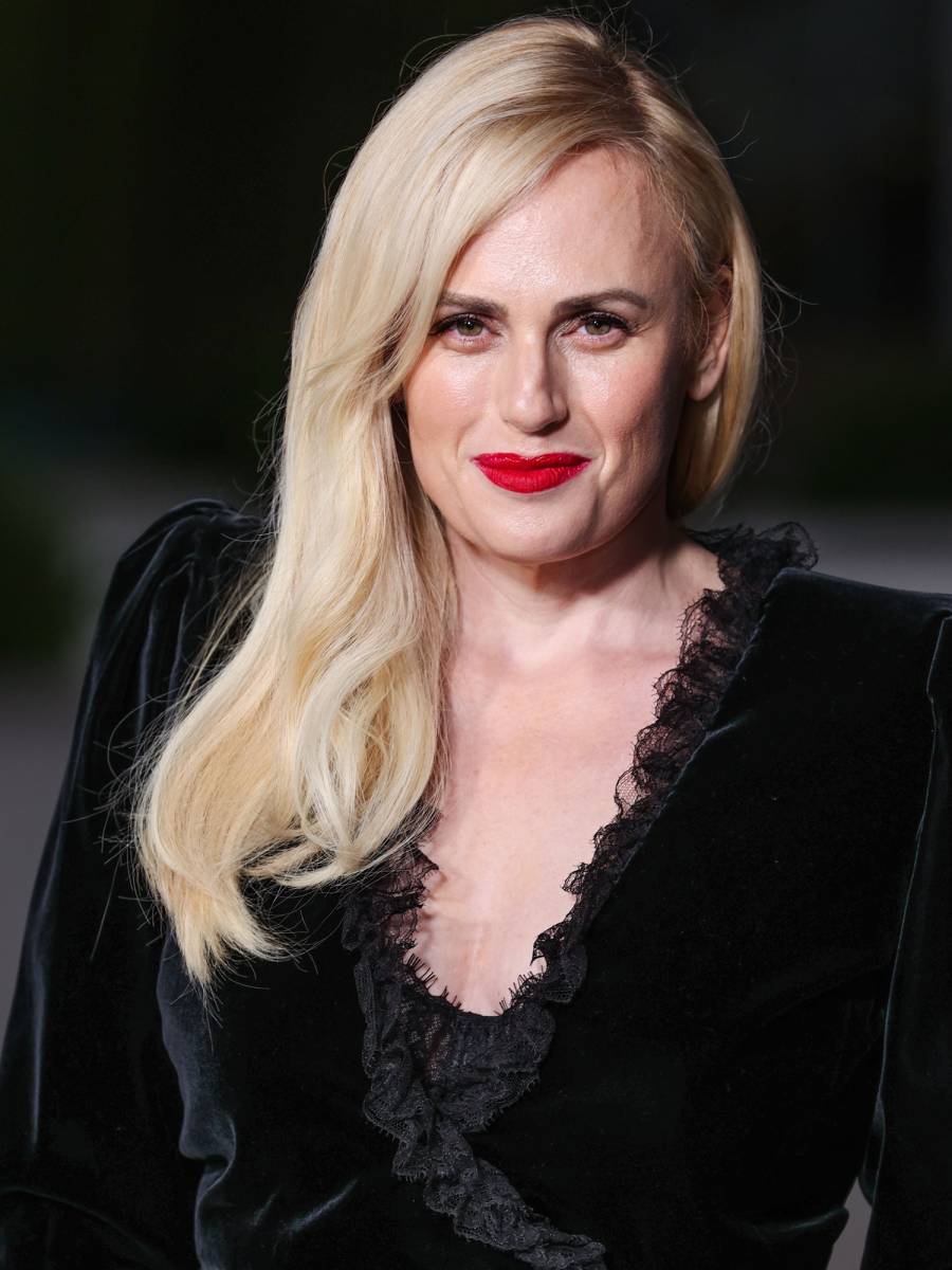 Growing Family! Rebel Wilson's Candid Quotes About Motherhood, Daughter Royce