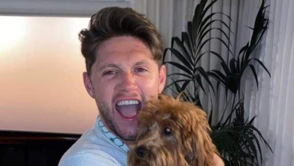 You're Welcome! See Niall Horan and More Hot Hunks Cuddling Cute Puppies