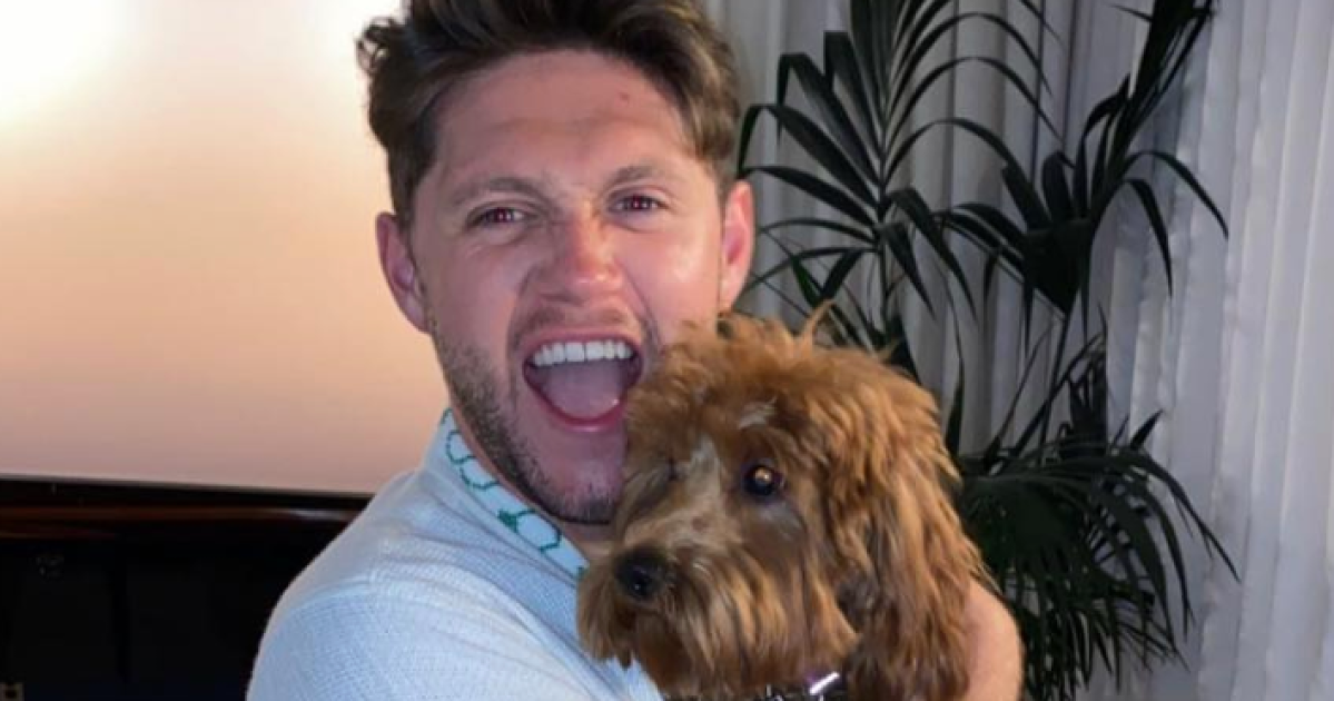 See Hottest Celebrity Hunks Cuddling With Their Cutest Pet Puppies See Hottest Celebrity Hunks Cuddling With Their Cutest Pet Puppies