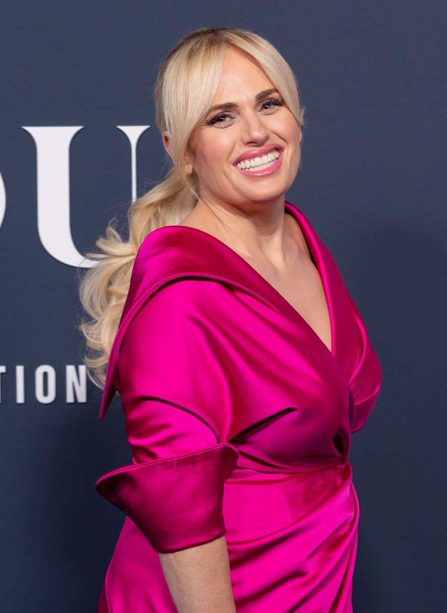 Growing Family! Rebel Wilson's Candid Quotes About Motherhood, Daughter Royce