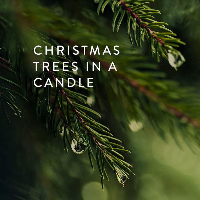 Amazon-thyme-candle-Christmas