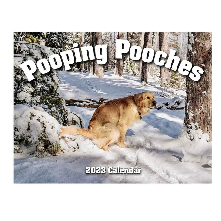 gifts-for-moms-amazon-pooping-pooches-calendar