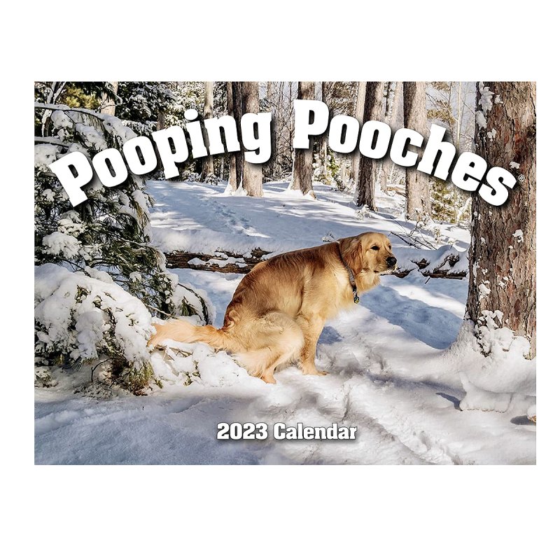 gifts-for-moms-amazon-pooping-pooches-calendar