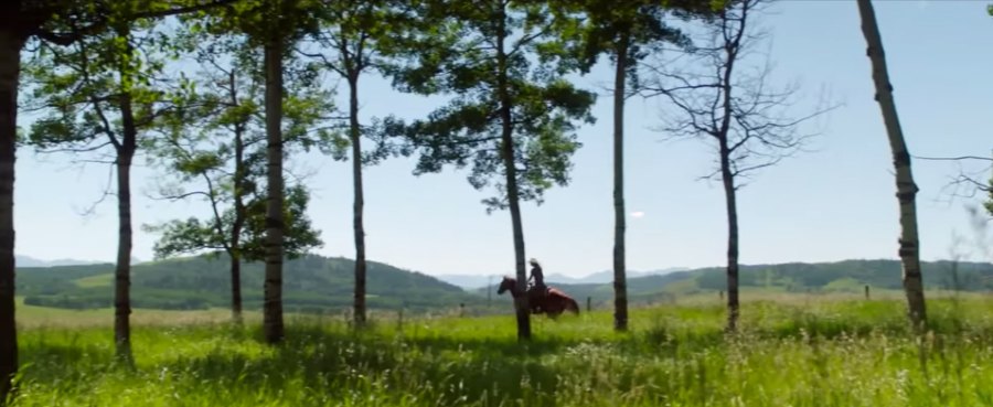 ‘Heartland' Season 16: Everything We Know So Far