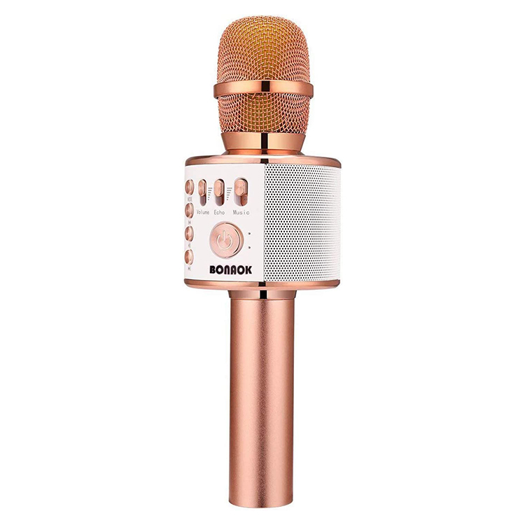 karaoke microphone