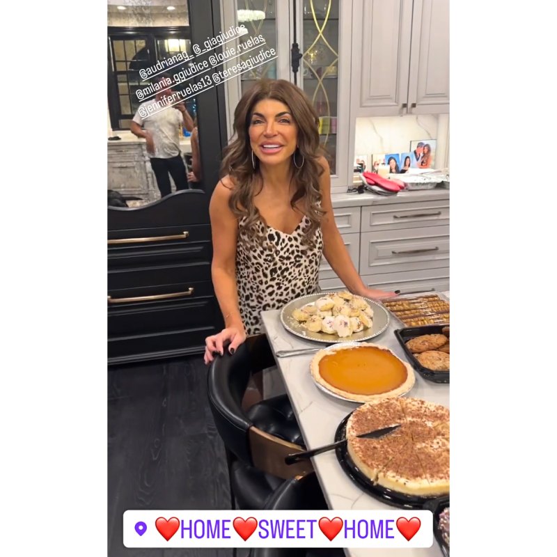 1st Married Thanksgiving! Teresa Guidice, Husband Luis’ Sweetest Moments