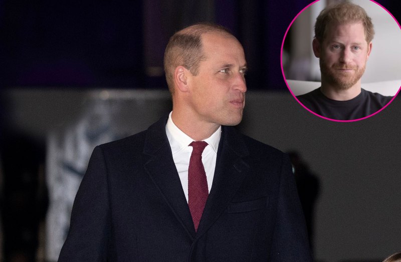 2022 Inside Prince William and Prince Harry Complicated Relationship Over the Years