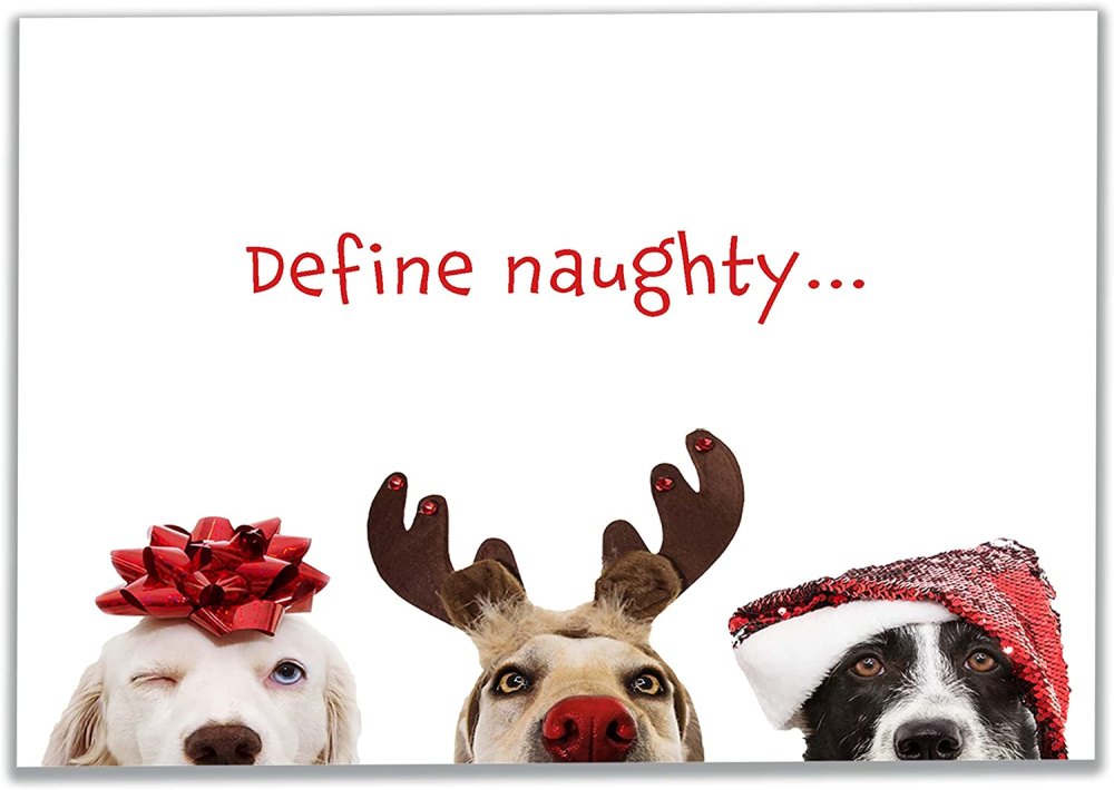 Allynn's 20 Pack Funny Dog Christmas Cards