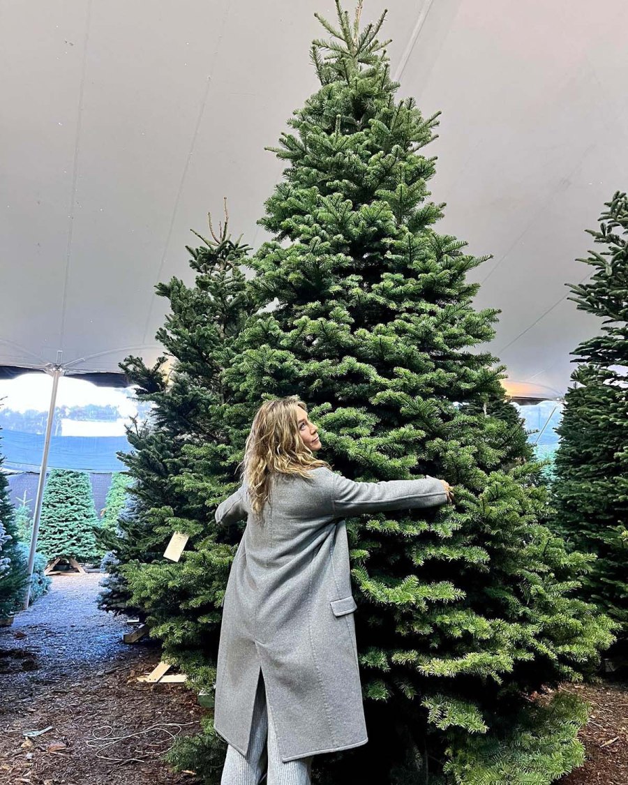 Celebrities Visiting Christmas Tree Farms in 2022: Jennifer Aniston, More