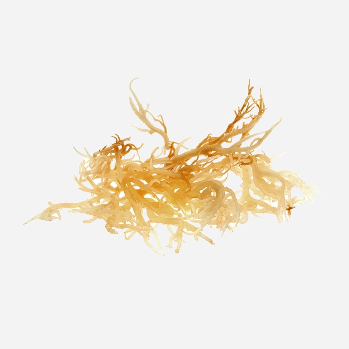 Sea Moss vs. Turmeric for Your Skin