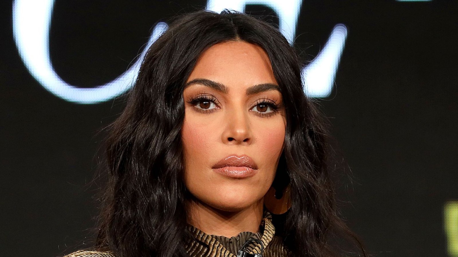 Kim Kardashian Faces Backlash From Fans Who Think Her Dogs Live in a Garage