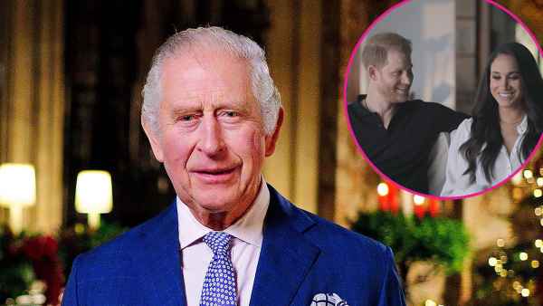 King Charles III Doesn't Mention Prince Harry and Meghan Markle in Christmas Speech — After Shouting Out Prince William and Princess Kate - 235