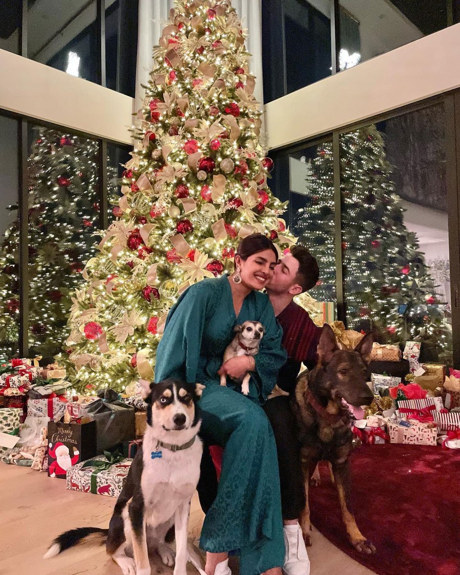 Nick Jonas and Priyanka Chopra Jonas Nick Jonas Instagram Stars Celebrating Holiday Seasons With Their Beloved Pets
