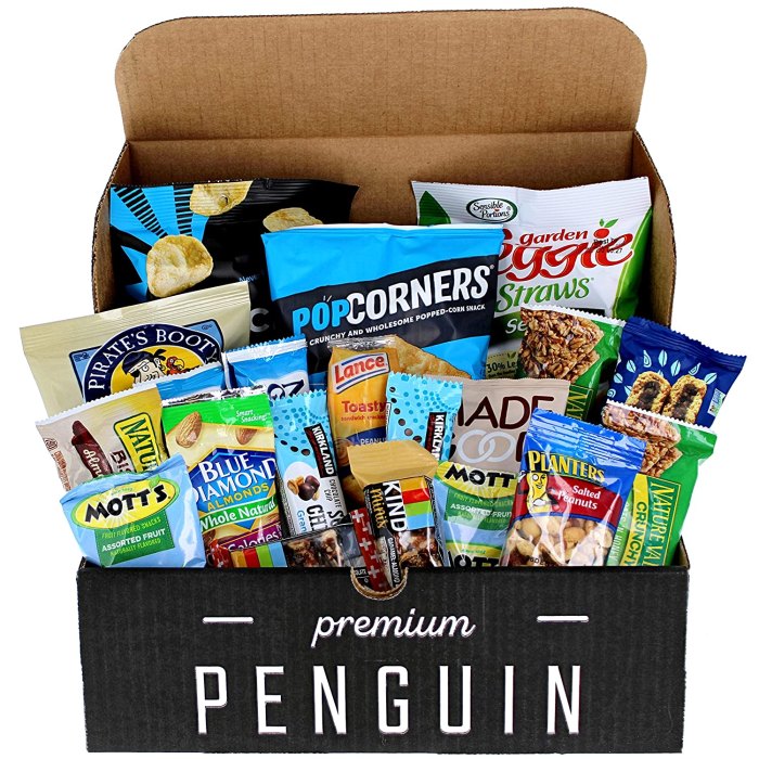 Premium Penguin Healthy Snacks Care Package