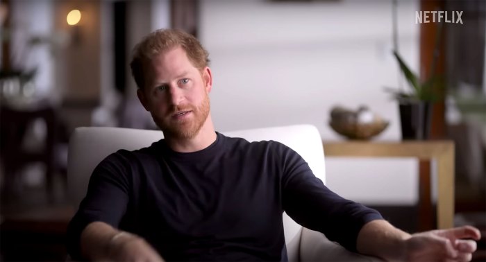 Prince Harry Claims Royal Family Is Willing to Lie to Protect Prince William in New Netflix Teaser 2
