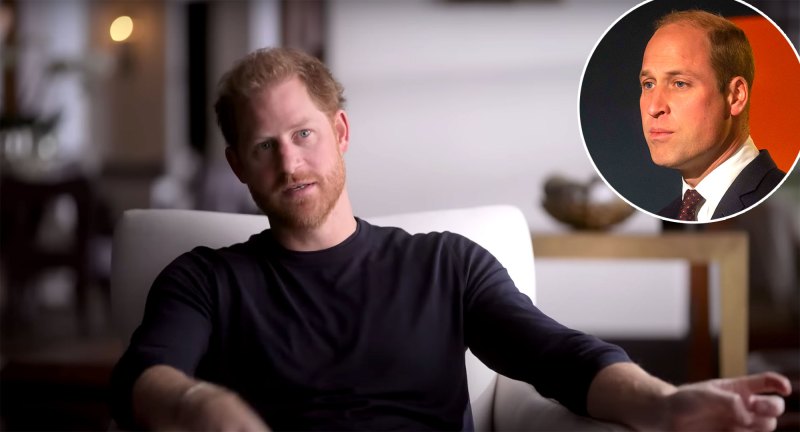 Prince Harry Claims Royal Family Is Willing to Lie to Protect Prince William in New Netflix Teaser