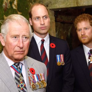 Prince Harry Details Screaming Match With Prince William and King Charles III Over Royal Exit 2