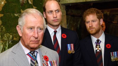 The ups and downs of Prince Harry and father King Charles III  over the years - A Timeline - 268 100th Anniversary of the Battle of Vimy Ridge, France - April 9, 2017