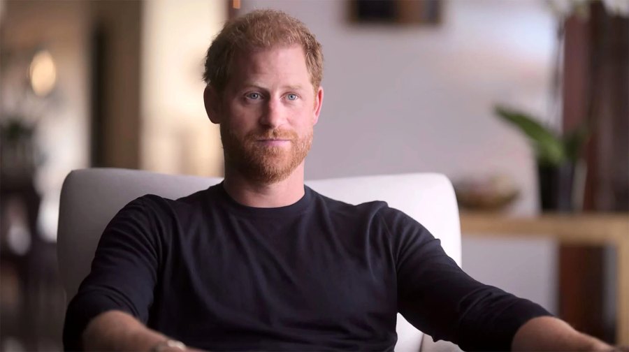 Prince Harry and Father King Charles III's Ups and Downs Through the Years- A Timeline - 275