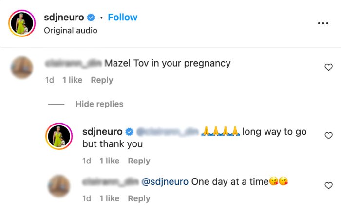 RHOBH's Diana Jenkins Is Pregnant at 49, Expecting Baby With Asher Monroe: 'Long Way to Go' instagram comments