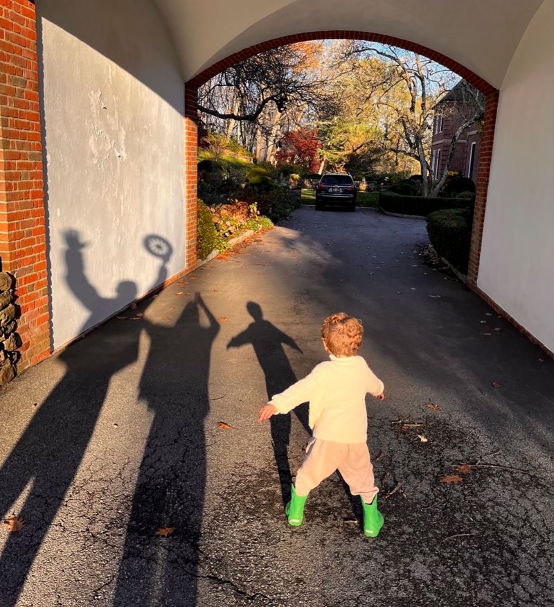 Richard Gere's Sweetest Photos With His 3 Sons, Wife Alejandra Silva Through the Years: Family Album shadows