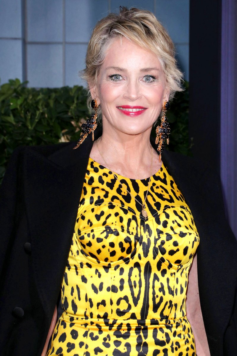 Sharon Stone Celebrities Weigh In on TJ Holmes and Amy Robach GMA3 Drama