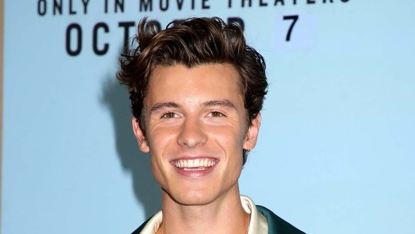 Shawn Mendes Strips Down for Cold-Water Plunge