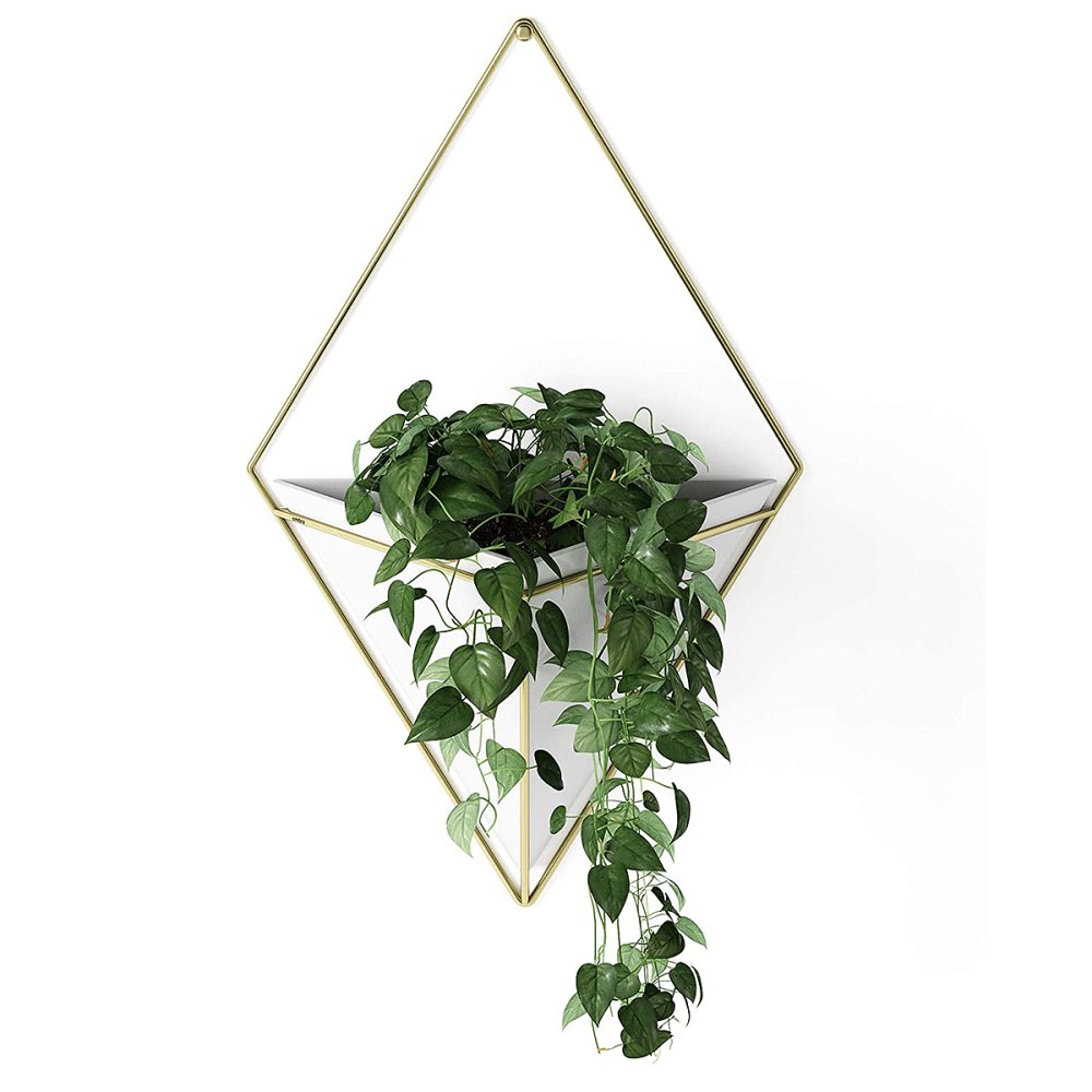 amazon-last-minute-gifts-wall-planter