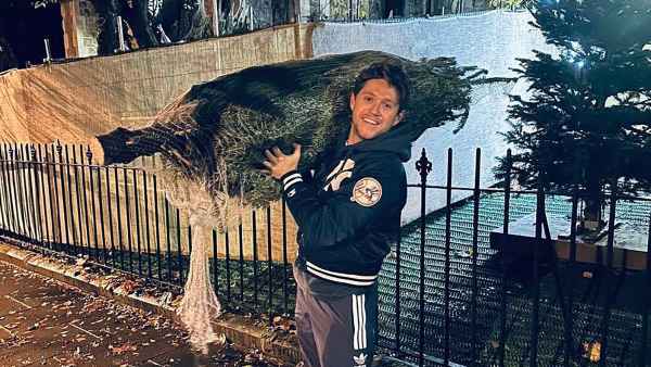 ‘Happy Holidays’! Niall Horan, More Stars Visiting Christmas Tree Farms