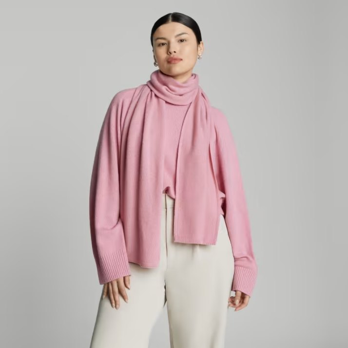 Everlane scarf