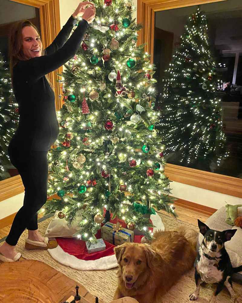 Feeling Festive! Pregnant Hilary Swank Decorates Her Christmas Tree
