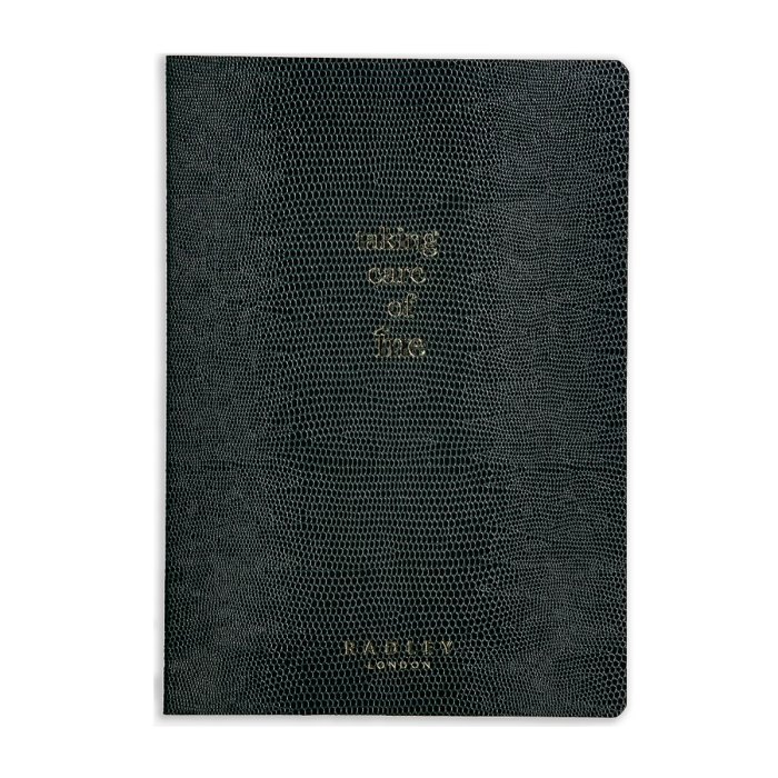 qvc-new-year-products-radley-london-wellness-journal